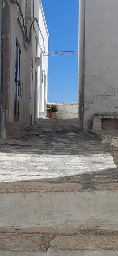 Che Vista!! Ostuni ,Sulle Bianche Mura Con Vista Mozzafiato Exteriér fotografie
