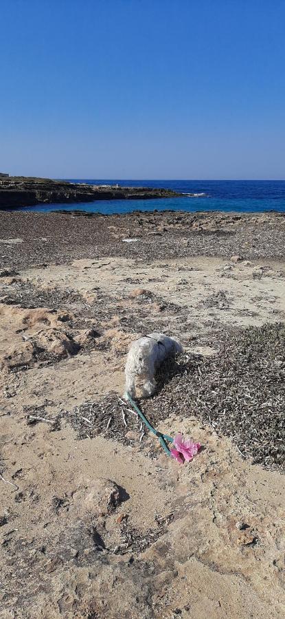 Che Vista!! Ostuni ,Sulle Bianche Mura Con Vista Mozzafiato Exteriér fotografie