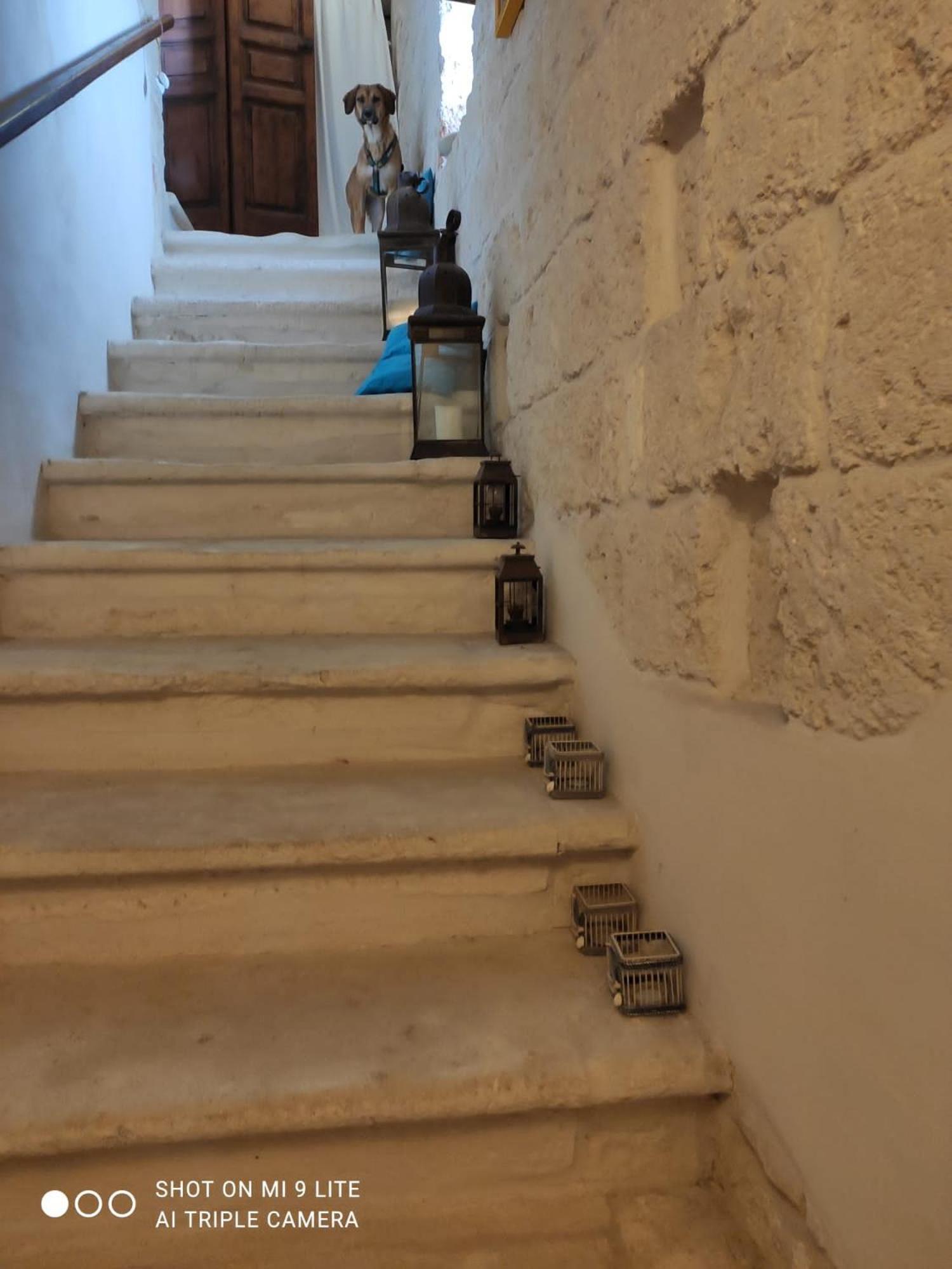 Che Vista!! Ostuni ,Sulle Bianche Mura Con Vista Mozzafiato Exteriér fotografie