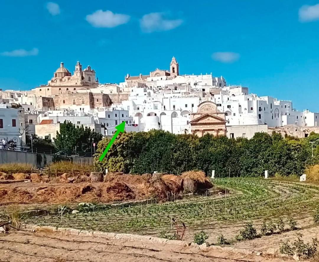 Che Vista!! Ostuni ,Sulle Bianche Mura Con Vista Mozzafiato Exteriér fotografie